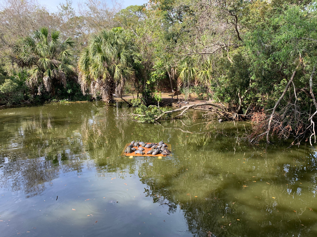 McGough Nature Park景点图片