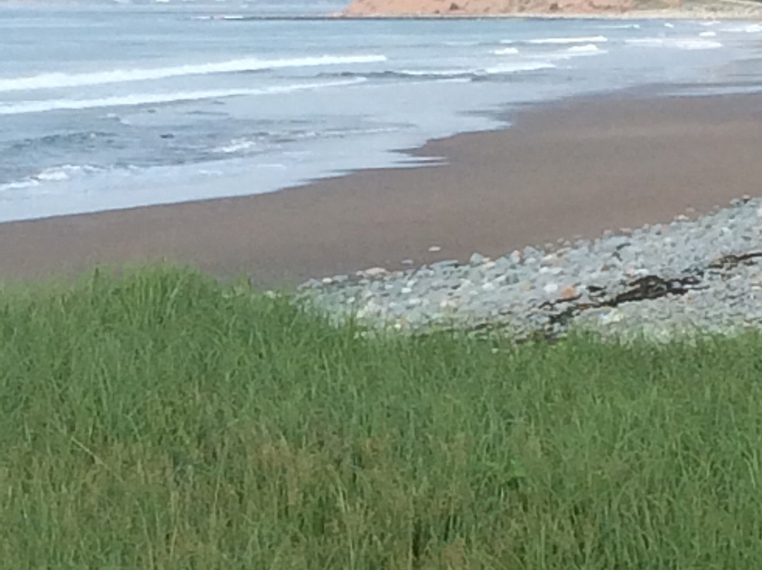 Moonlight Beach Suites主图