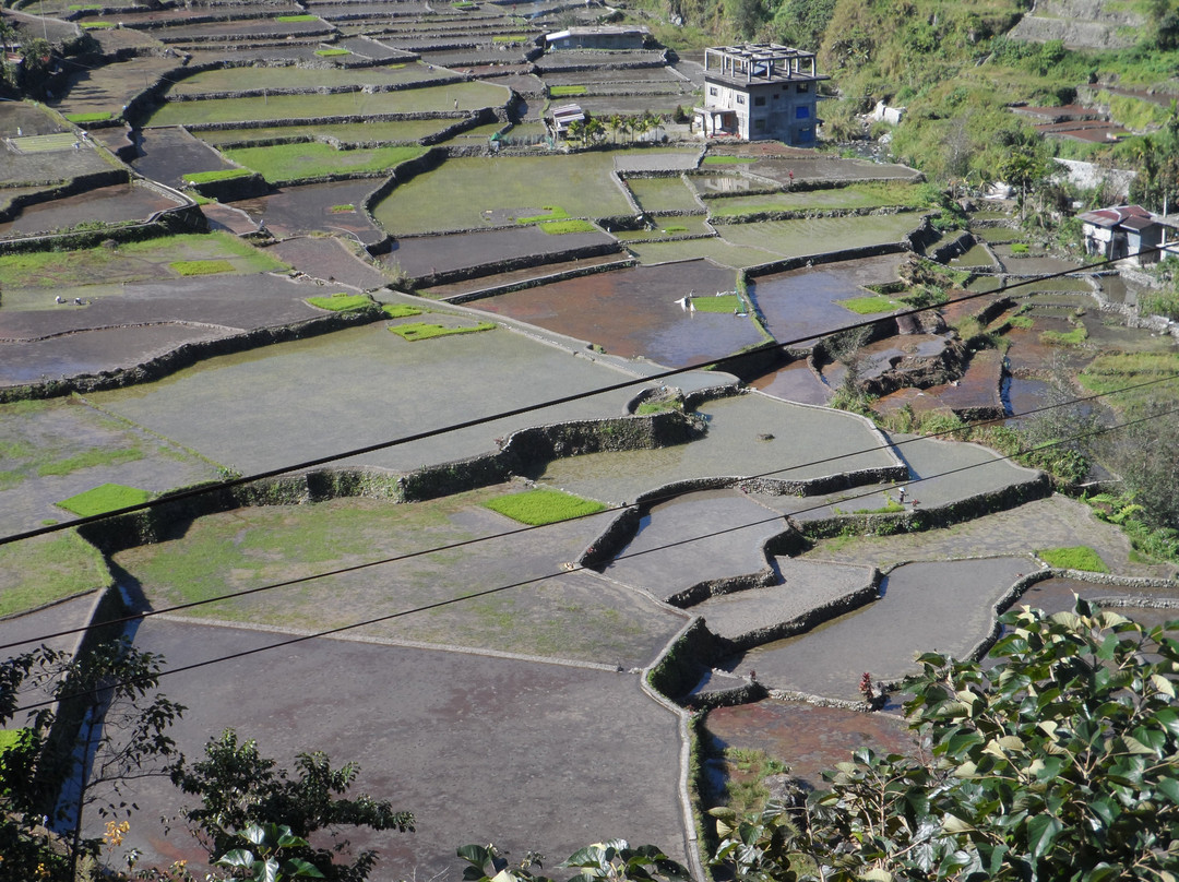 Hungduan Rice Terraces-Hungduan必去景点