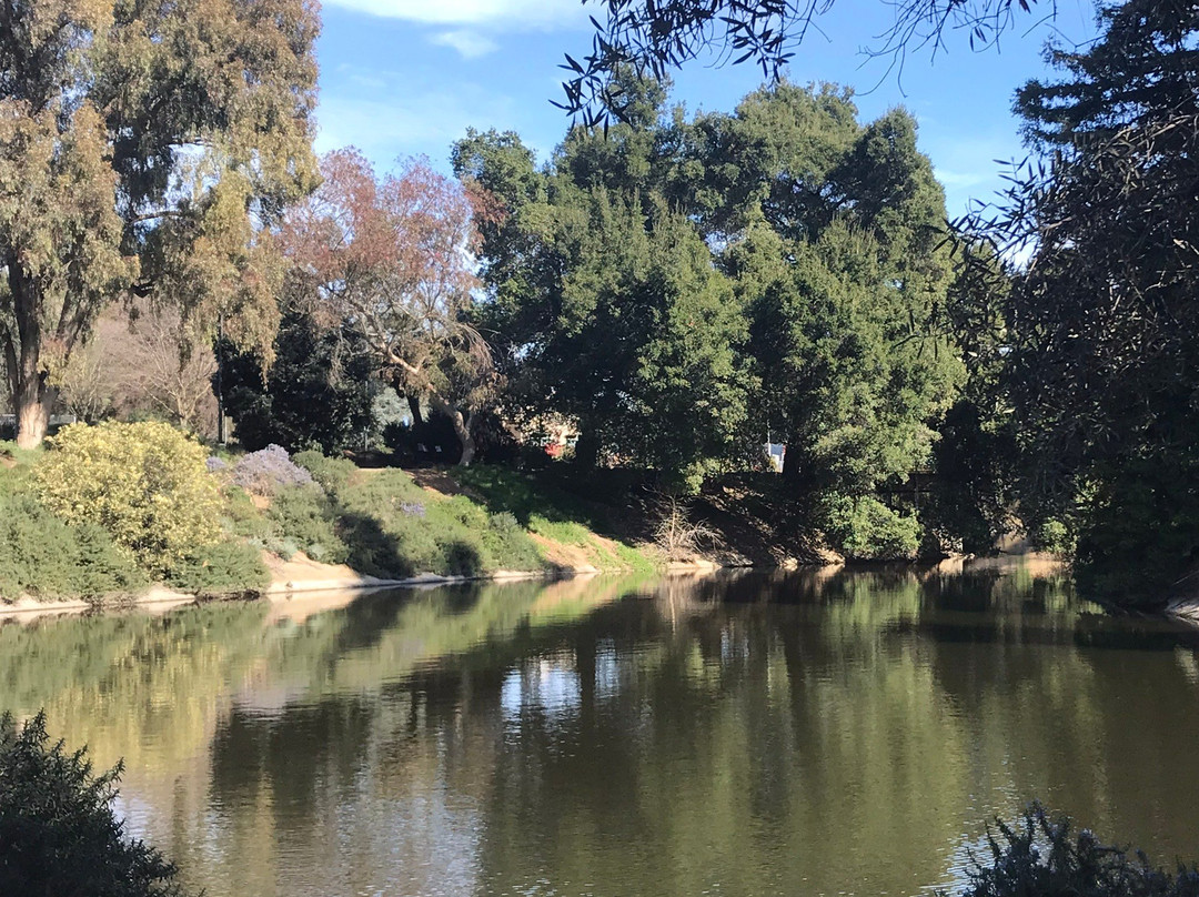 戴维斯大学植物园景点图片