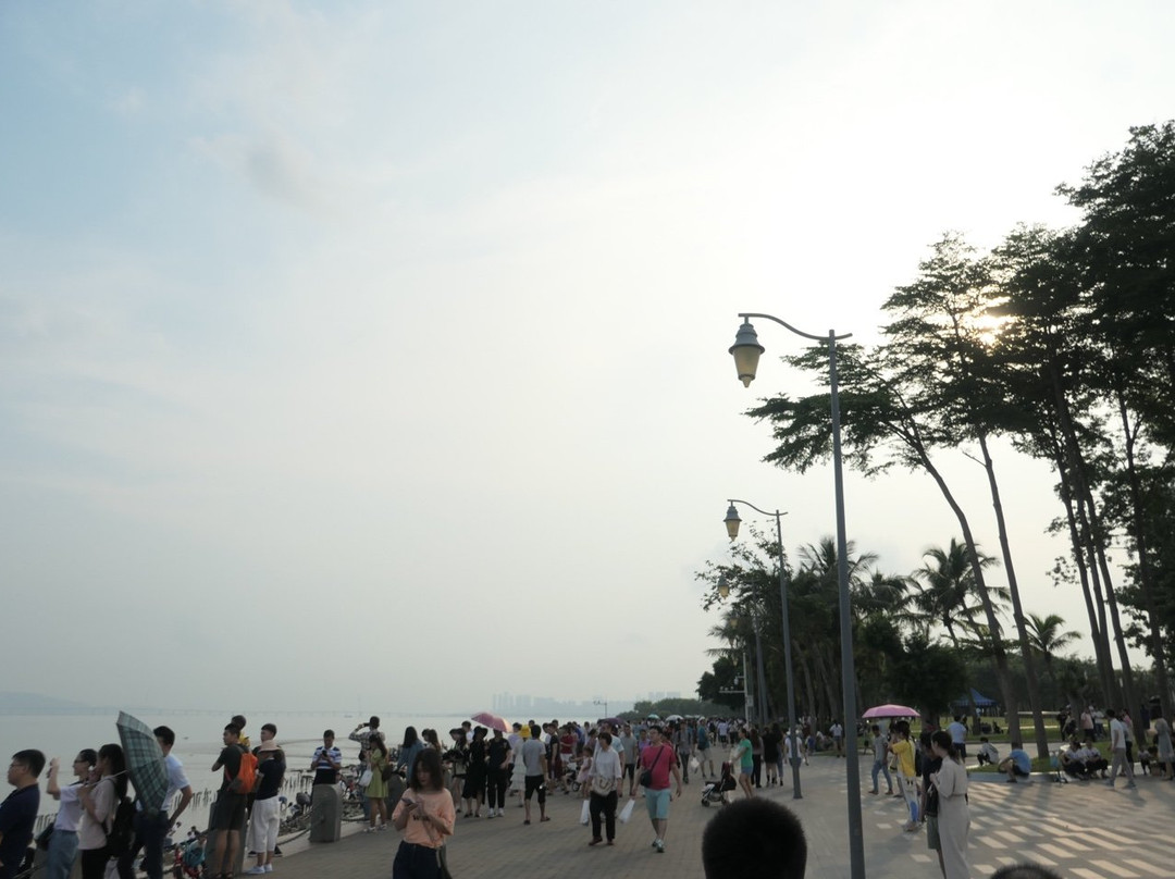 深圳湾公园景点图片