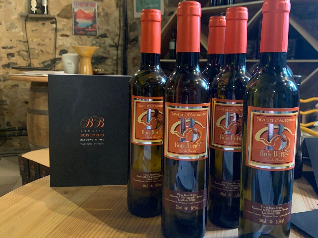 Domaine Bois Bories-Clermont l'Herault必去景点