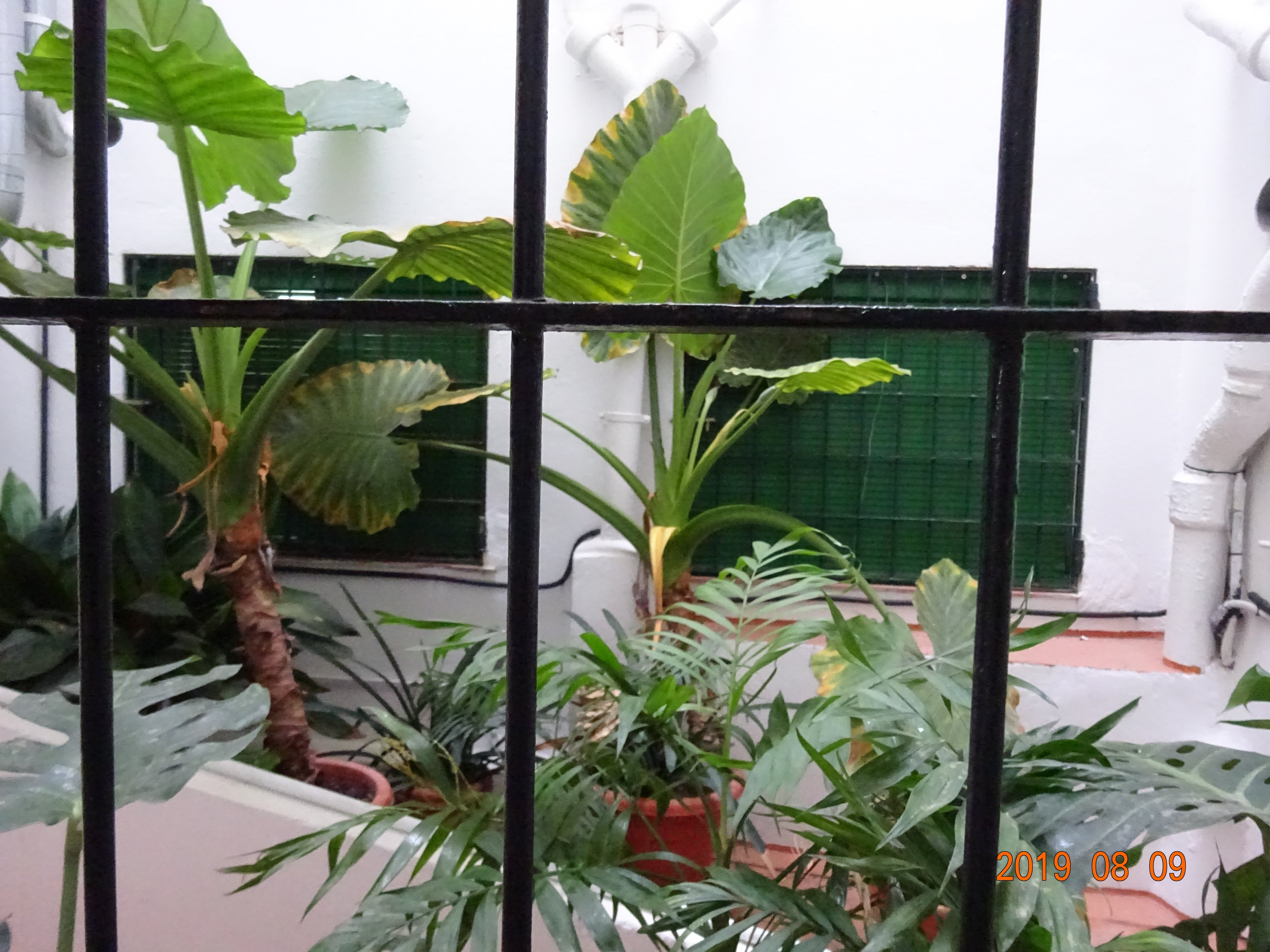 Hostal Las Nieves-酒店景观