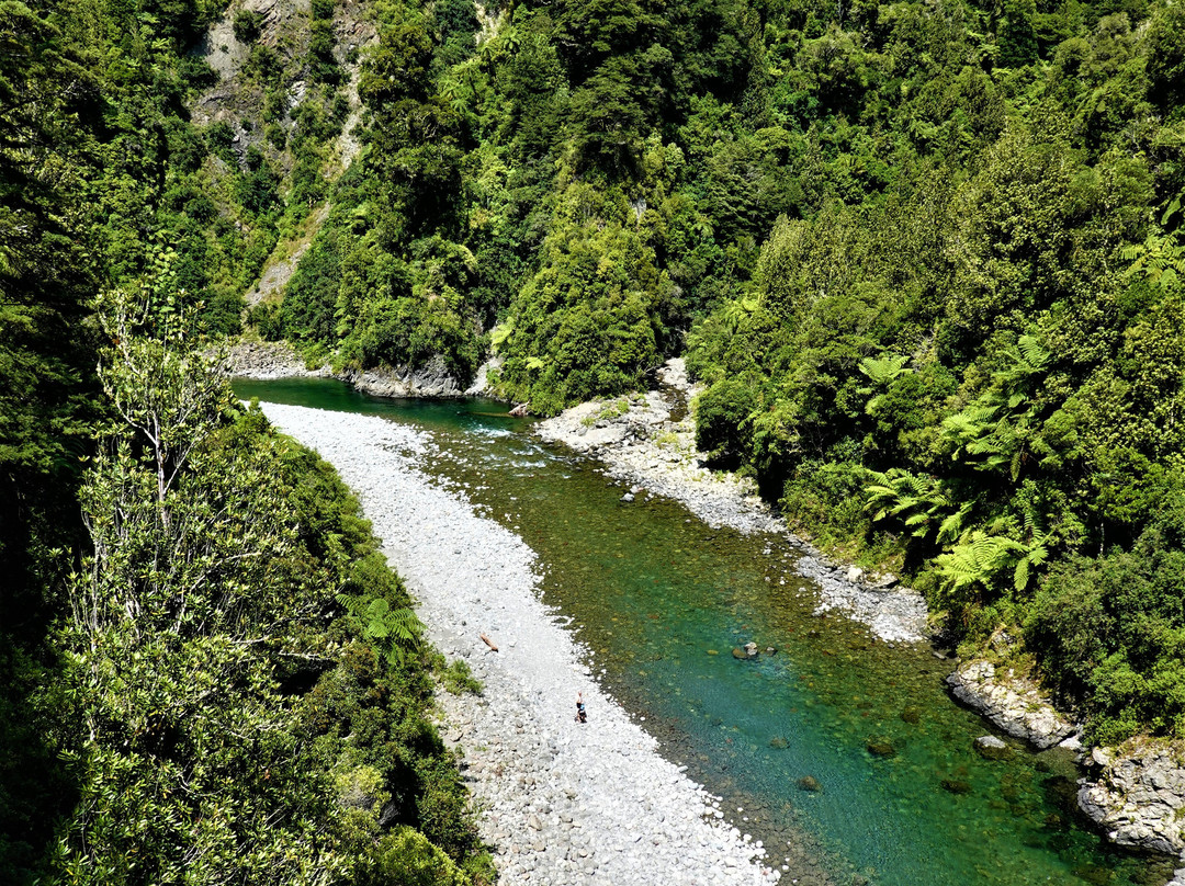 Waiohine Gorge Suspension Bridge景点图片