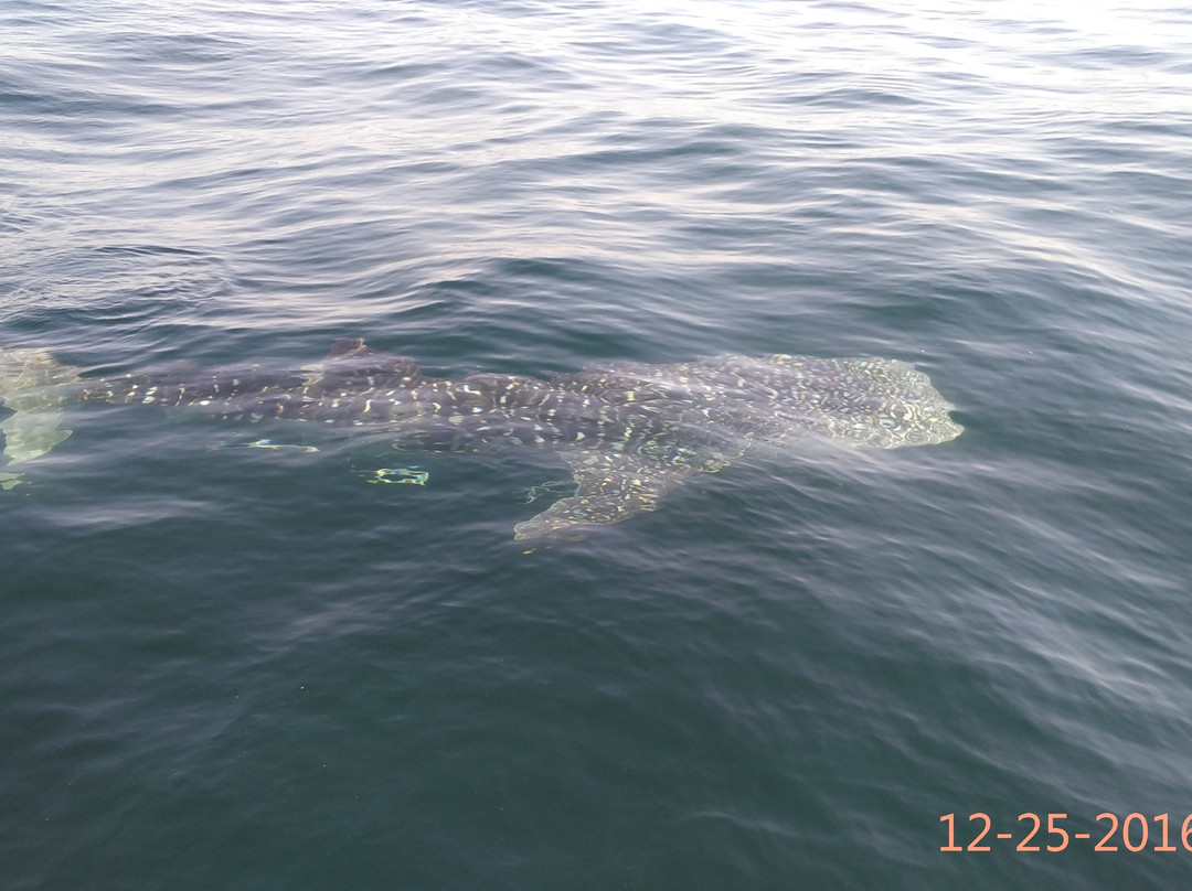 Al Hamra Marina & Yacht club-哈伊马角必去景点