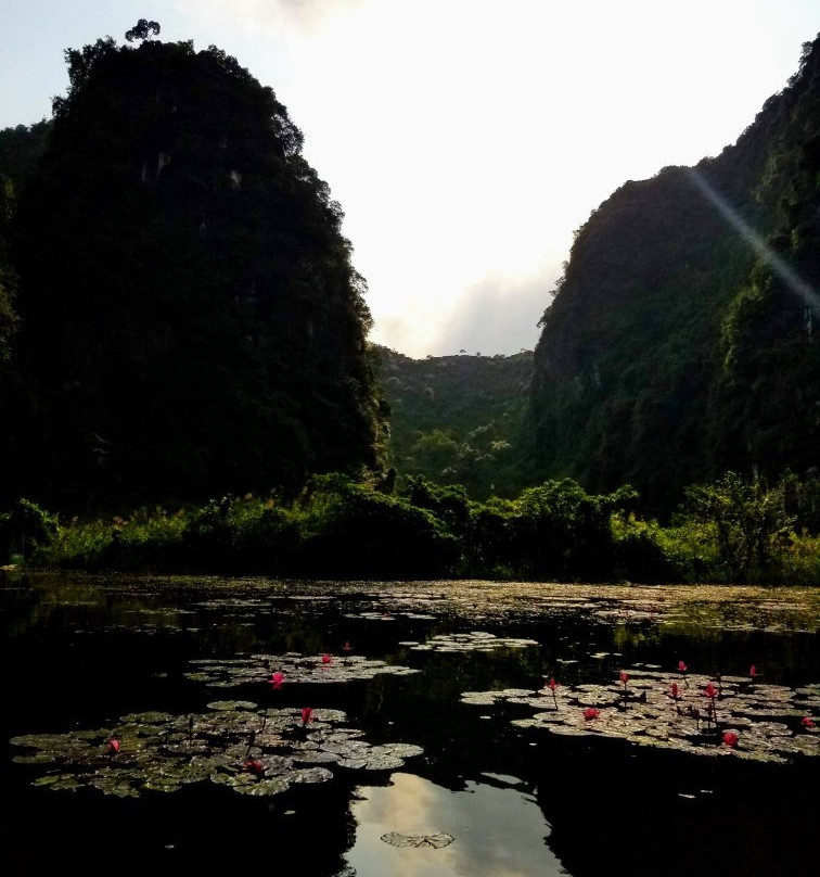 Tam Coc-Bich Đong景点图片