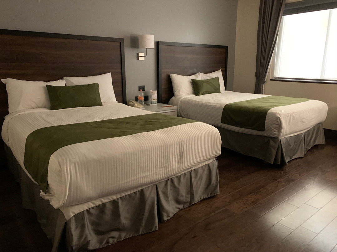 Quality Inn Chihuahua San Francisco主图