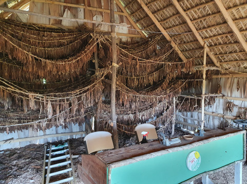 Rancho Palmeras-Cap Cana必去景点