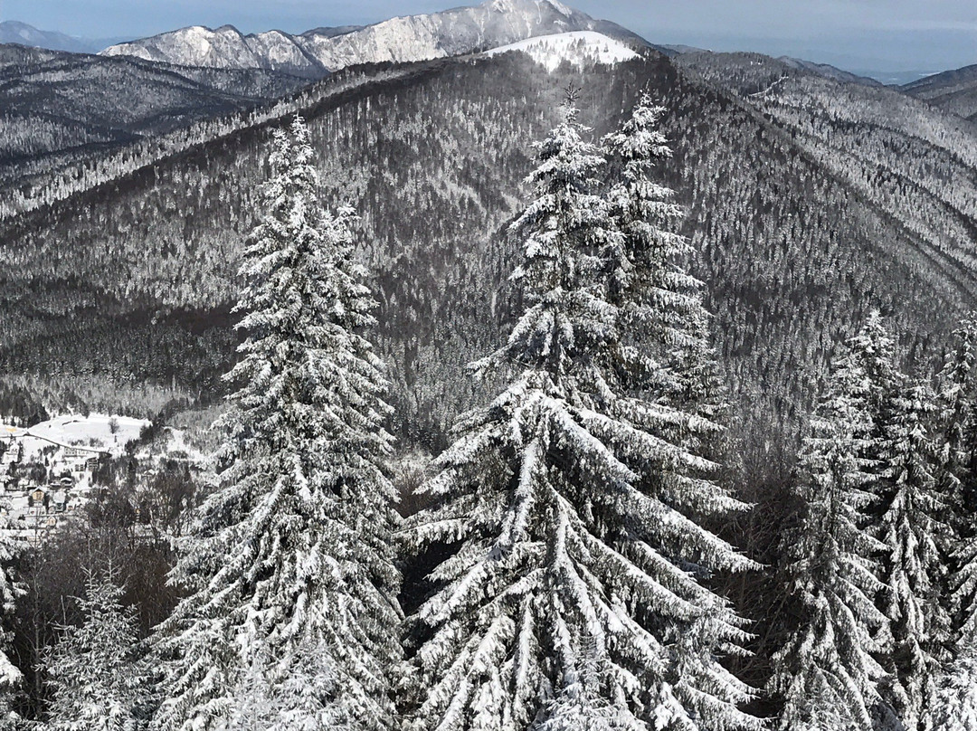 Azuga Ski Station景点图片