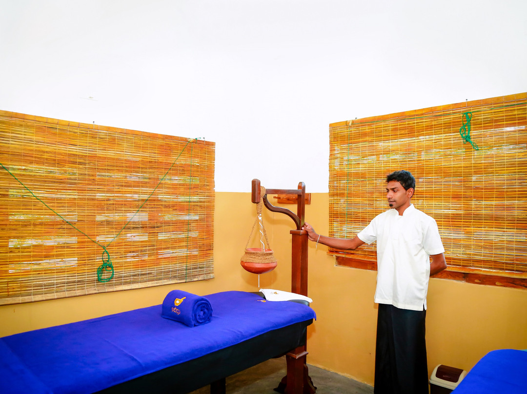Nethra Ayurvedic Spa & Resort景点图片