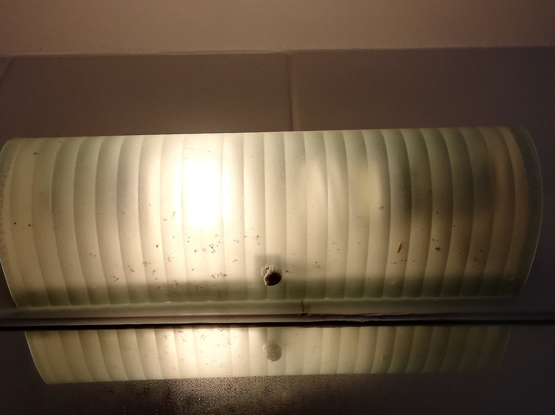 Hotel el Ciervo主图