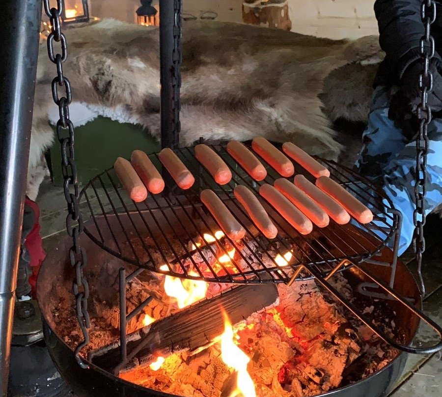 Hedmarksvidda Husky Tours-Brumunddal必去景点