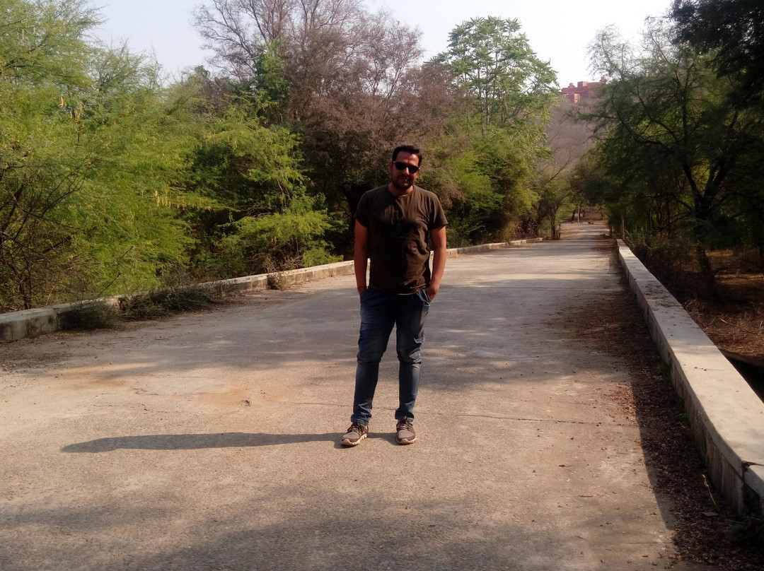 Hotel Castle Jhoomar Baori主图