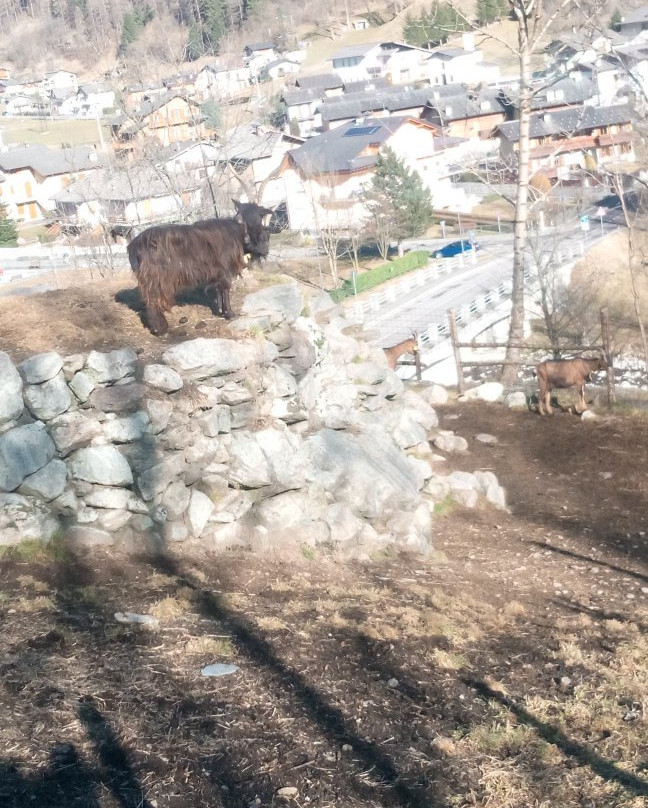 Agriturismo Alle Baite主图
