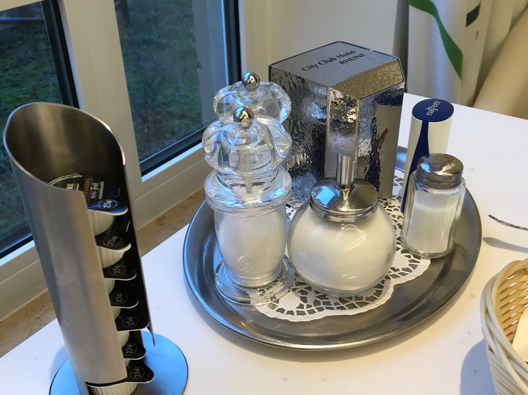 莱茵城市俱乐部酒店主图