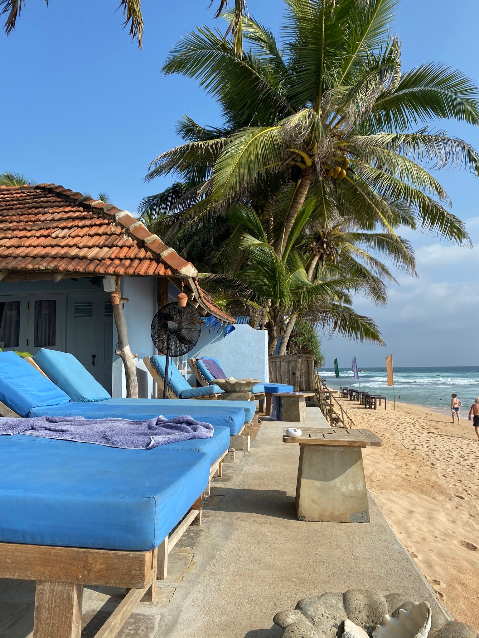 EKA Beach-官方
