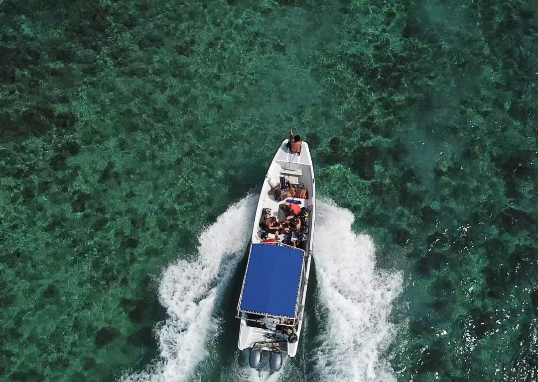 Dive and Green-Capurgana必去景点