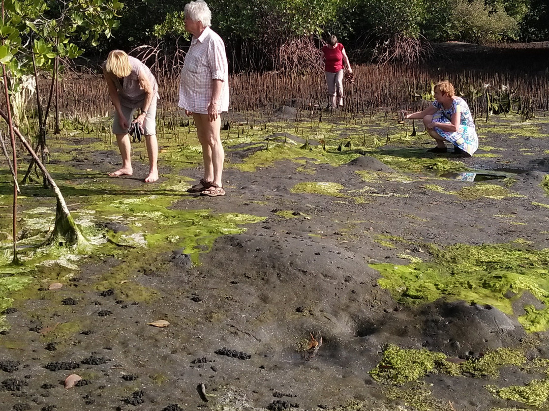 The Arya Guest House主图