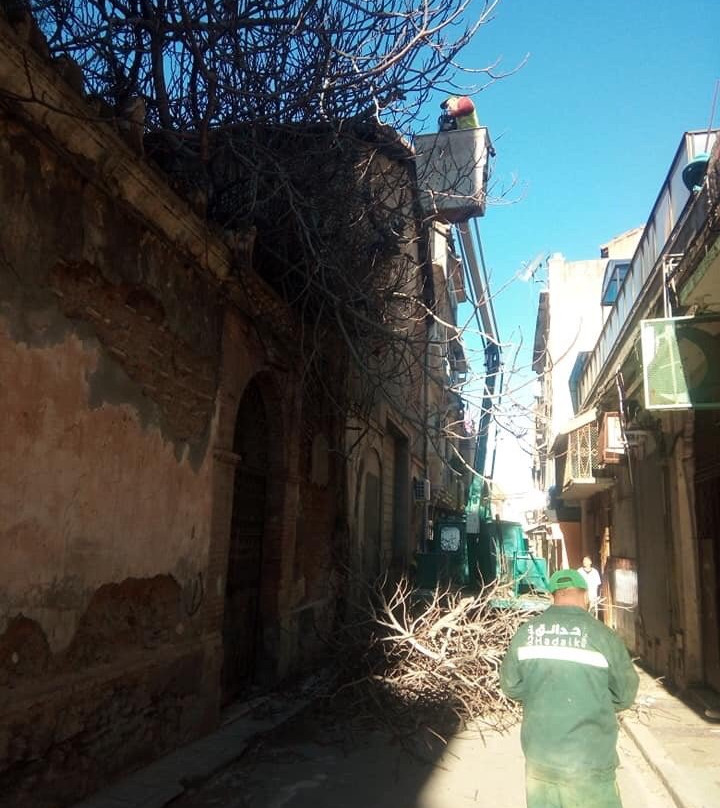 Ancienne Synagogue de Blida景点图片