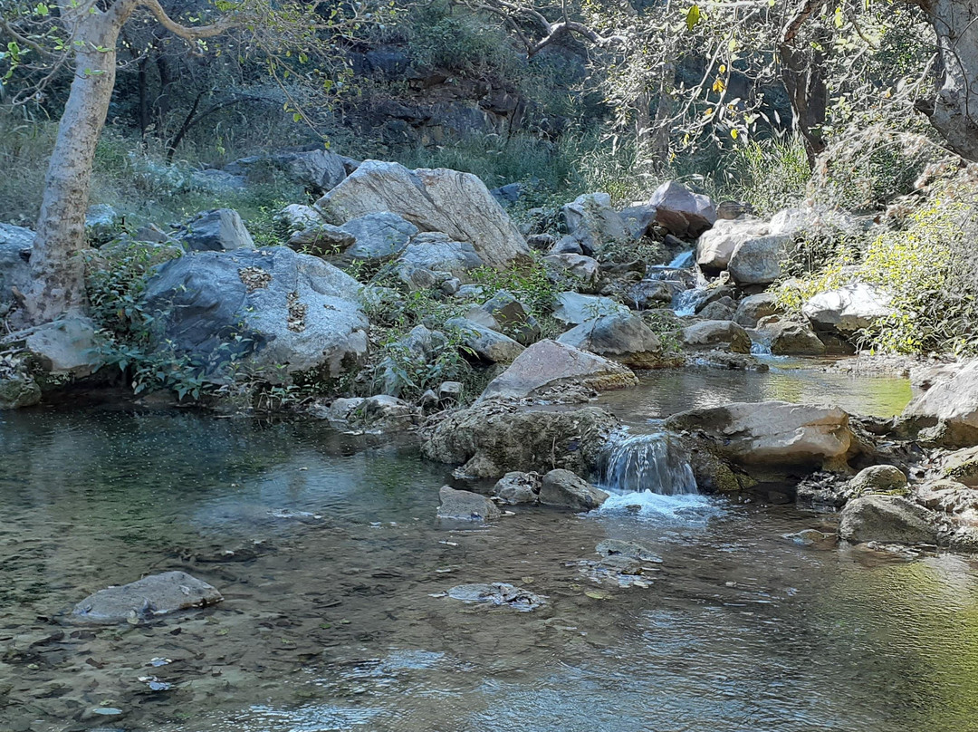 Countryside Excursion景点图片