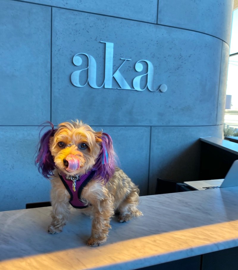 AKA University City-餐饮