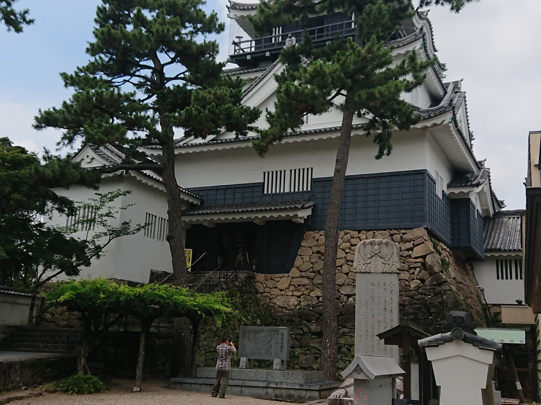 Okazaki Castle景点图片