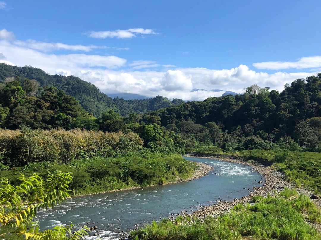 Rafting Savegre River景点图片