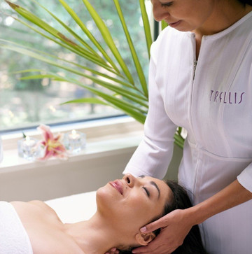 Trellis Spa-休斯顿必去景点