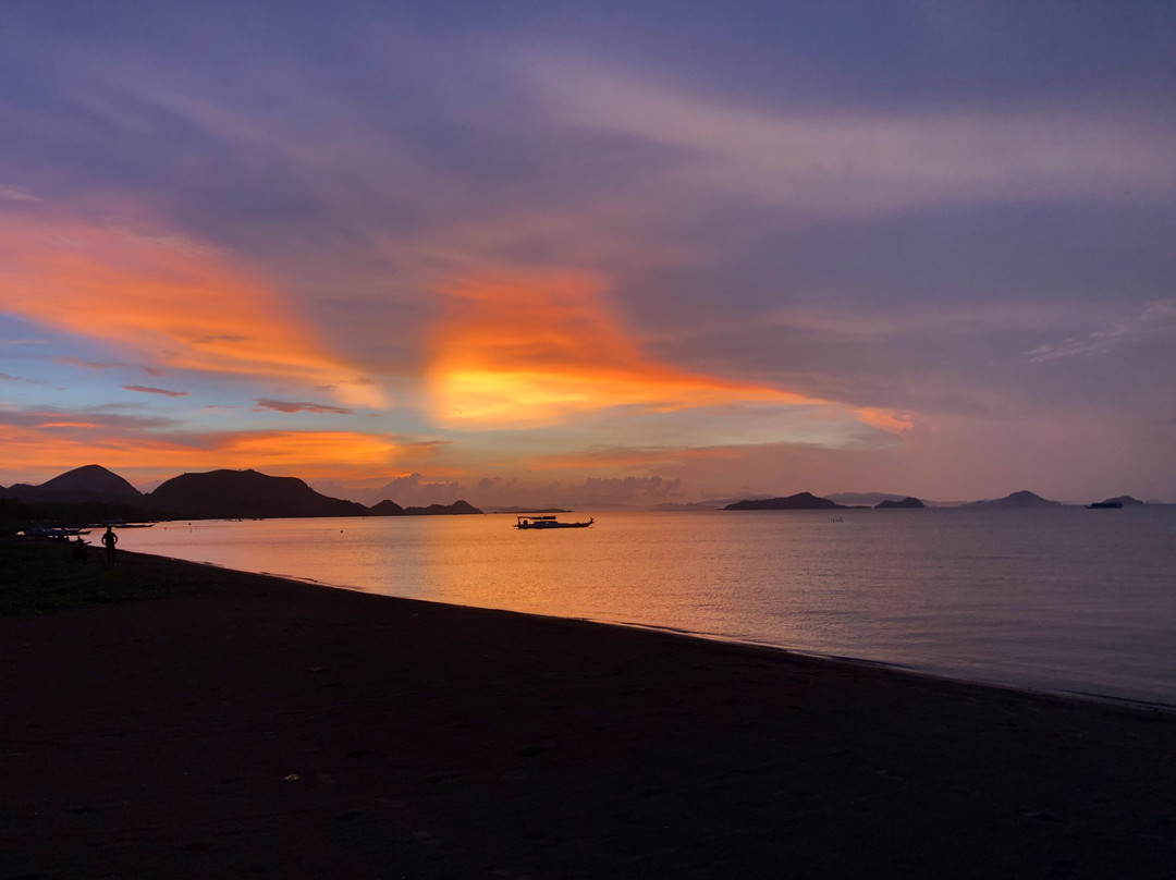 普里纱丽海滩酒店主图