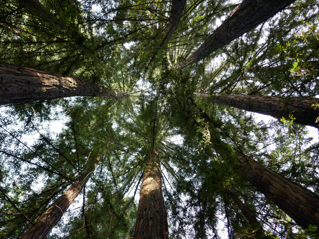 Canyon Ranch Woodside主图