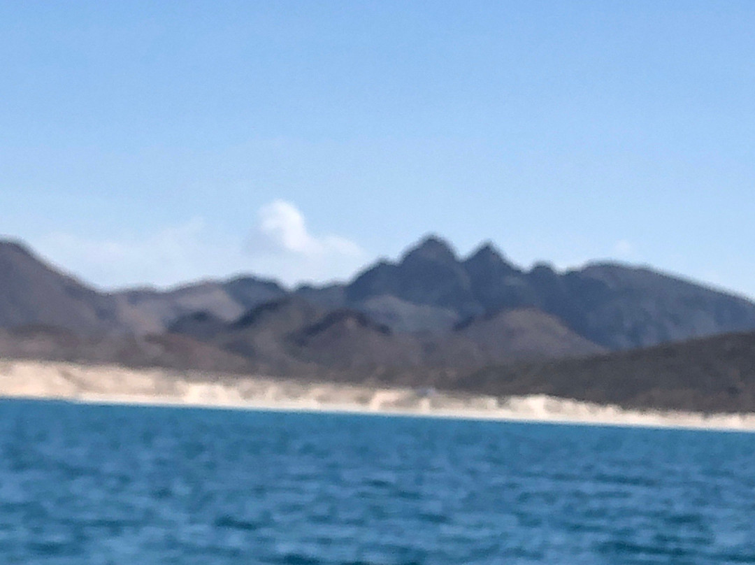 Baja Pirates Fishing Fleet景点图片