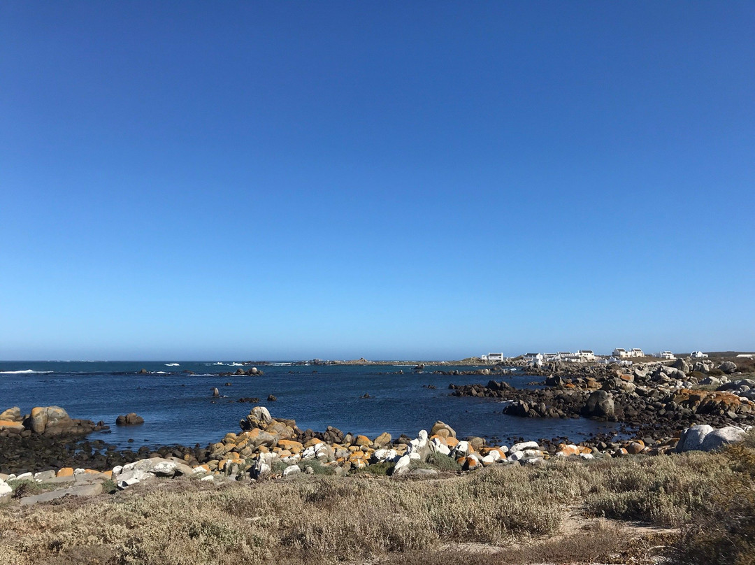 Abalone Guest House主图