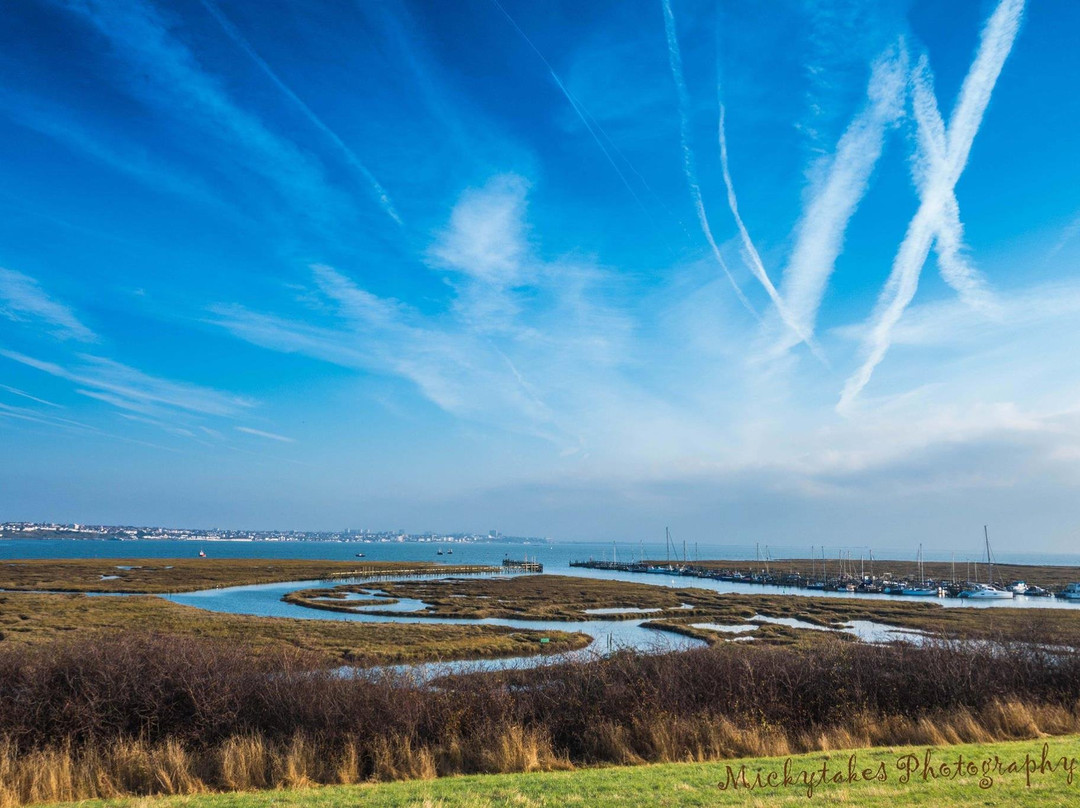 Canvey Heights Country Park景点图片