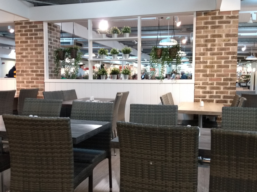 Otter Nurseries Garden Centre-Ottery St. Mary必去景点
