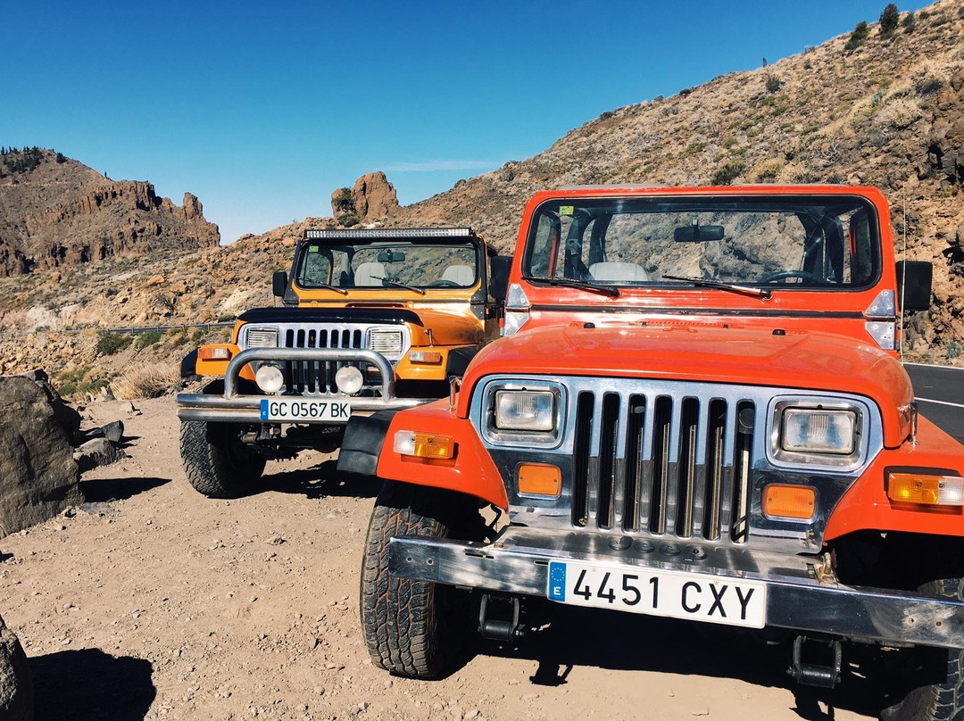 Buggy Quad Tenerife-美洲海滩必去景点