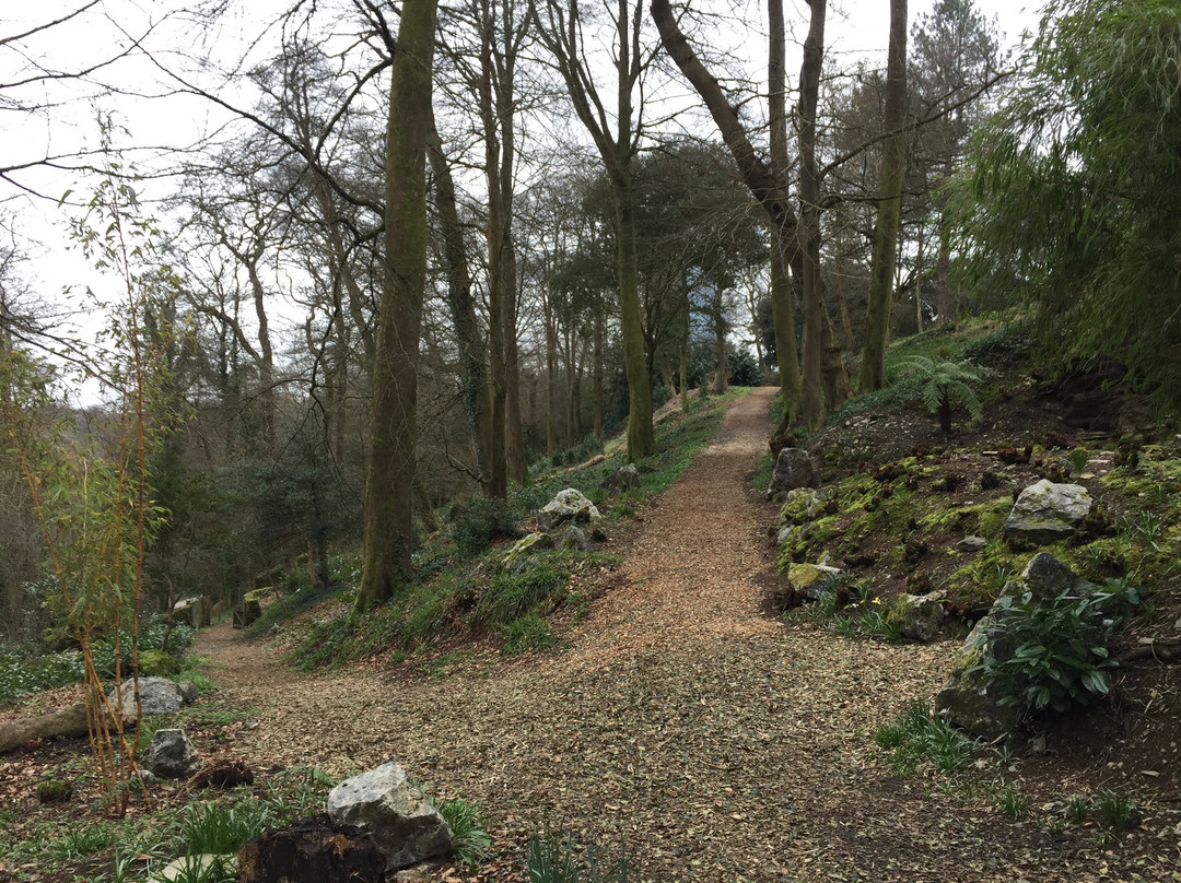 Saltram Gardens (National Trust)景点图片