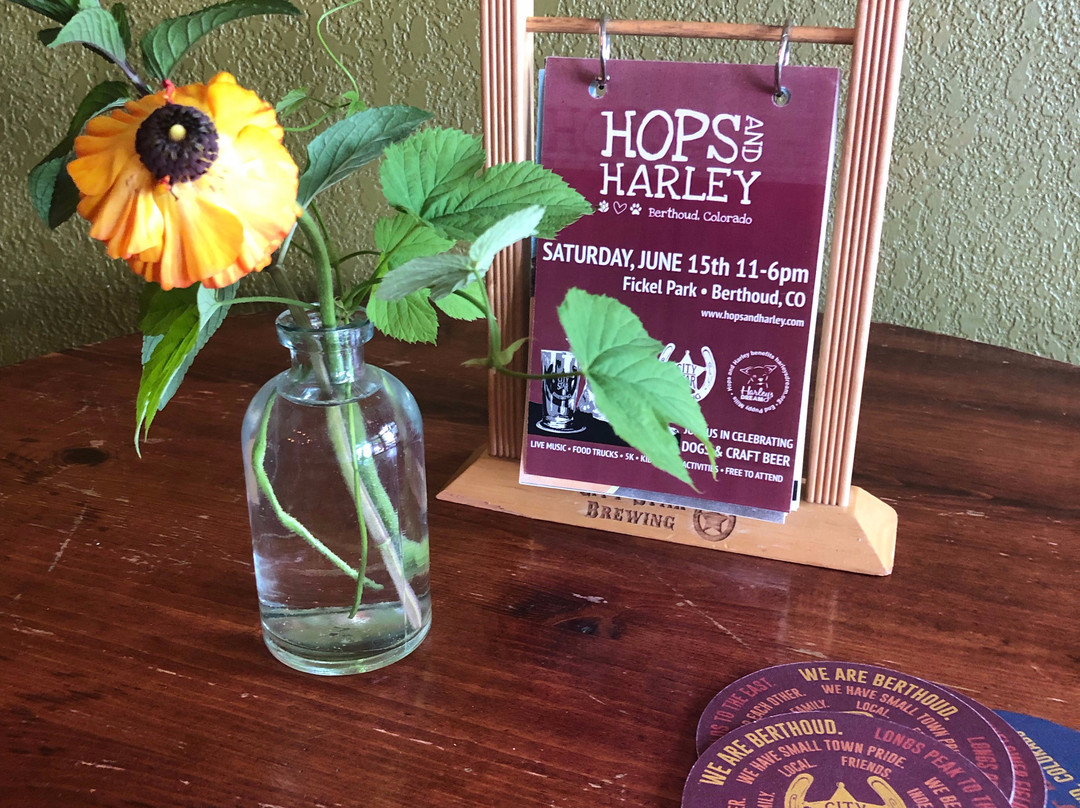 City Star Brewing-Berthoud必去景点