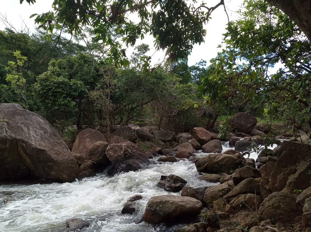 Cachoeira do Rio Preto-Campos dos Goytacazes必去景点