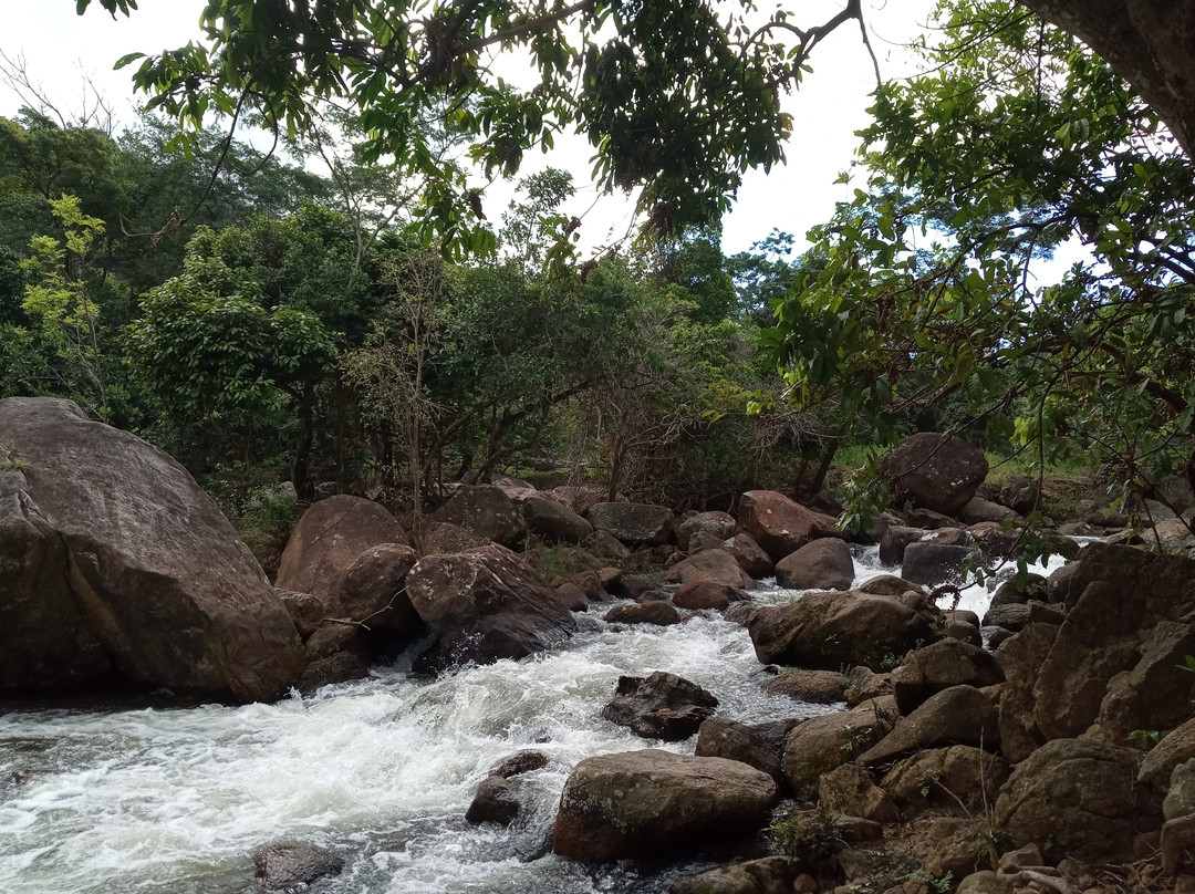 Cachoeira do Rio Preto景点图片