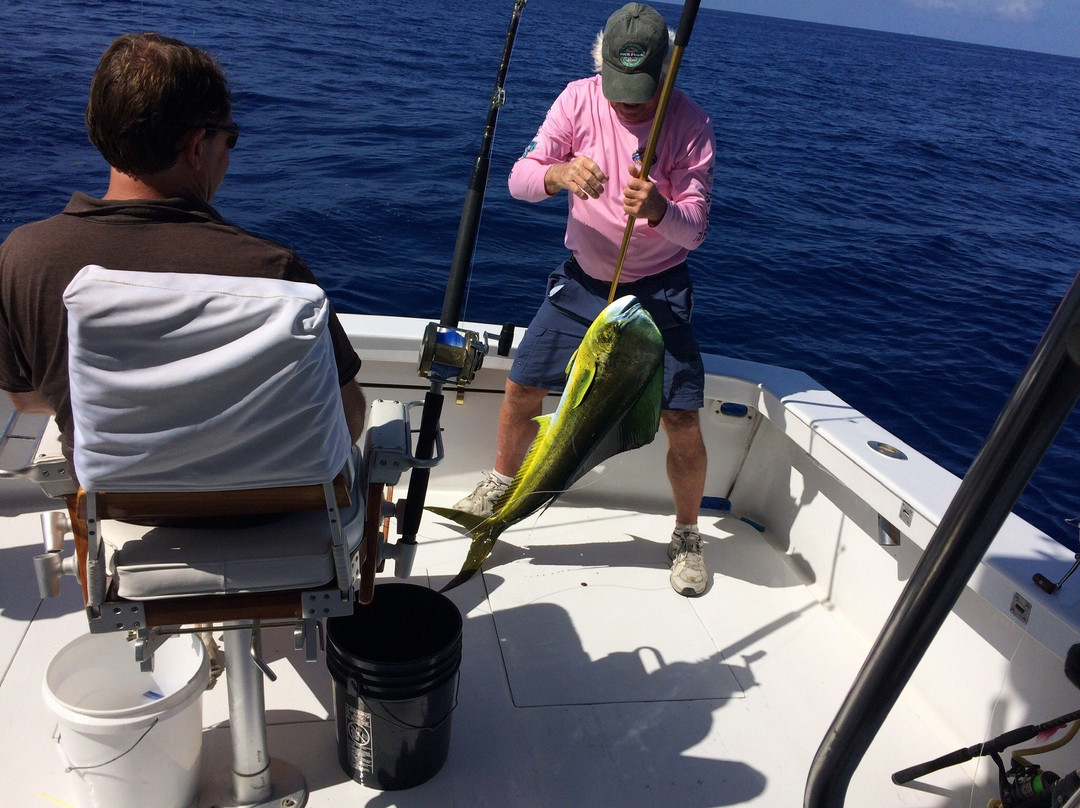 Danica Anne Sport Fishing-Tavernier必去景点