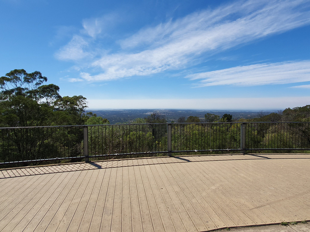 Bellbird Hill Lookout景点图片