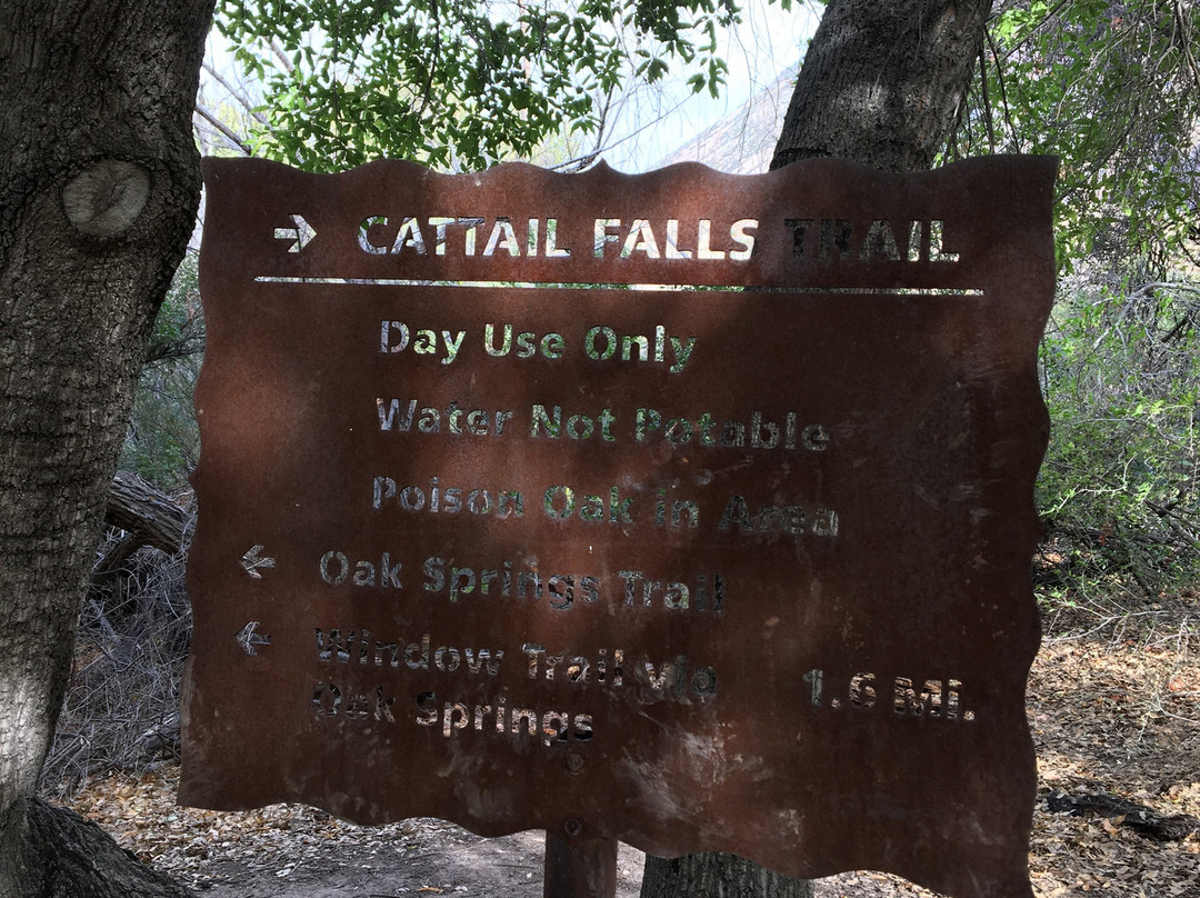 Cattail Falls Trail景点图片