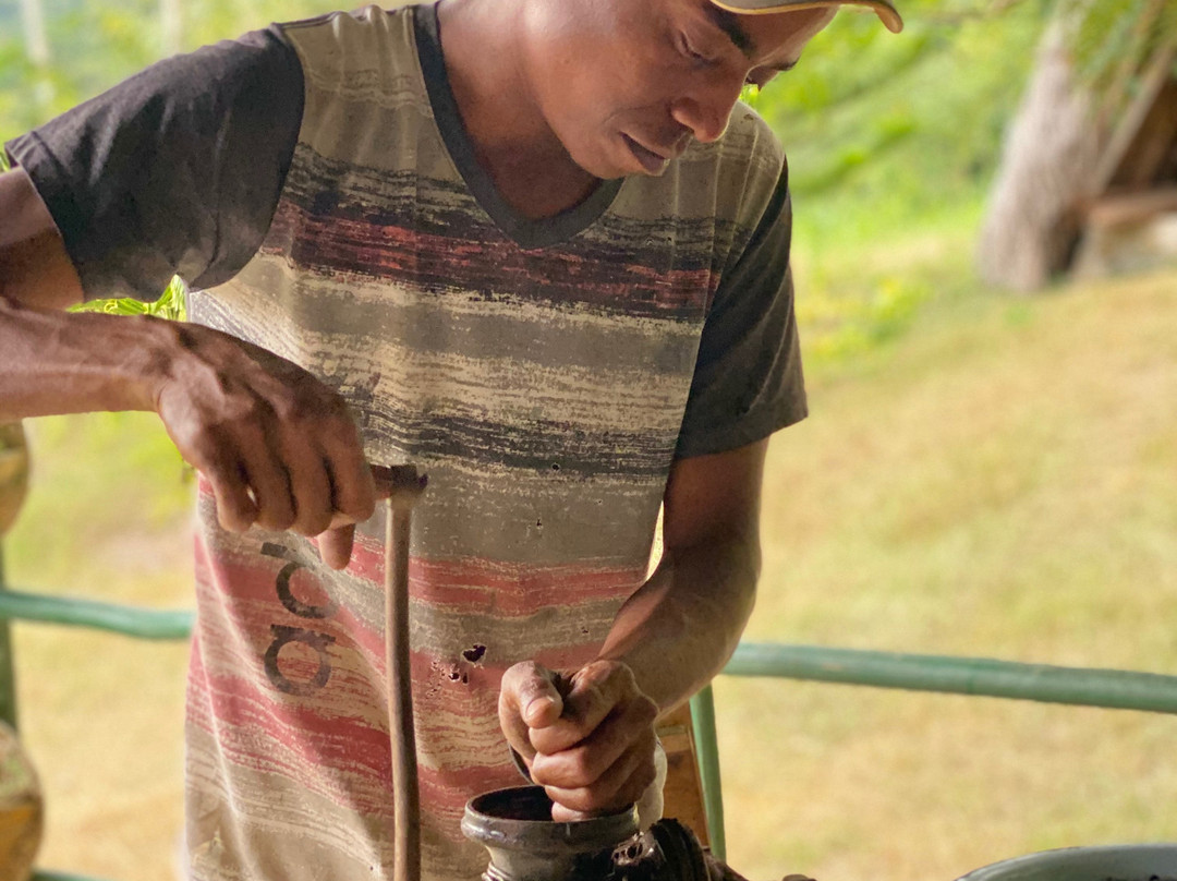 Finca Excelencia-Soroa必去景点