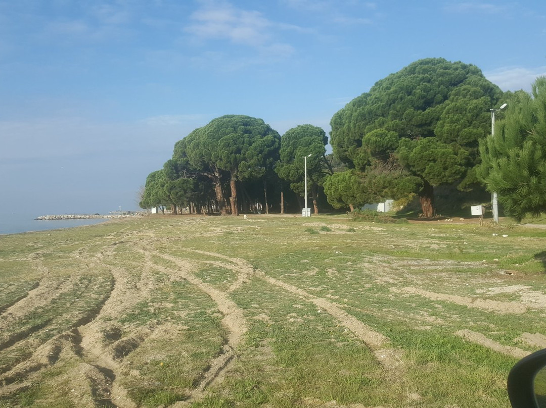 Fistikli Koyu Piknik Alani景点图片