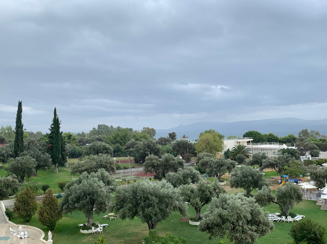 Palmariva Beach Hotel主图