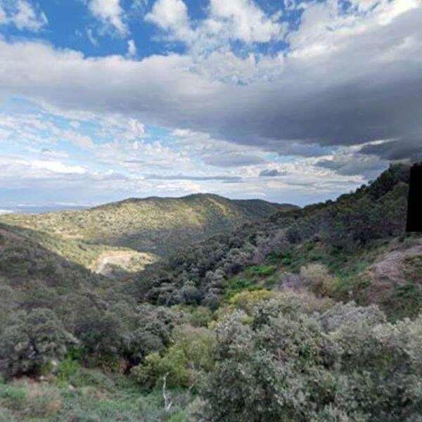 Chréa National Park Museum景点图片