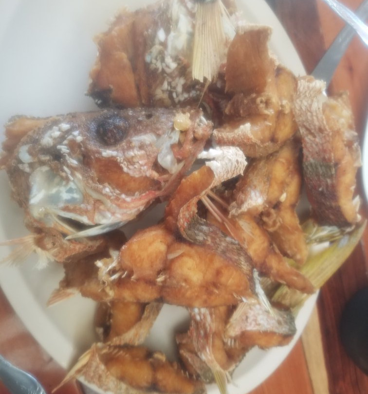 Yucatan Expeditions-Seye必去景点