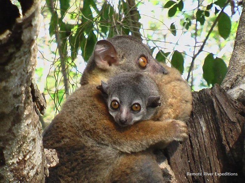 Remote River Expeditions - Madagascar景点图片