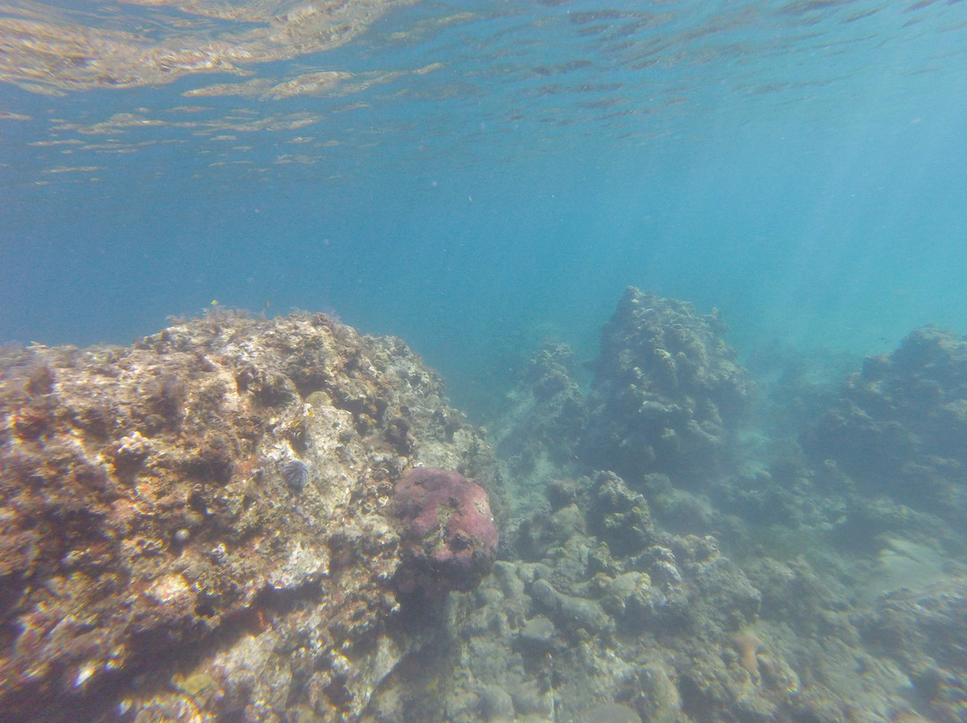 Kariba Plongee-圣吕斯必去景点