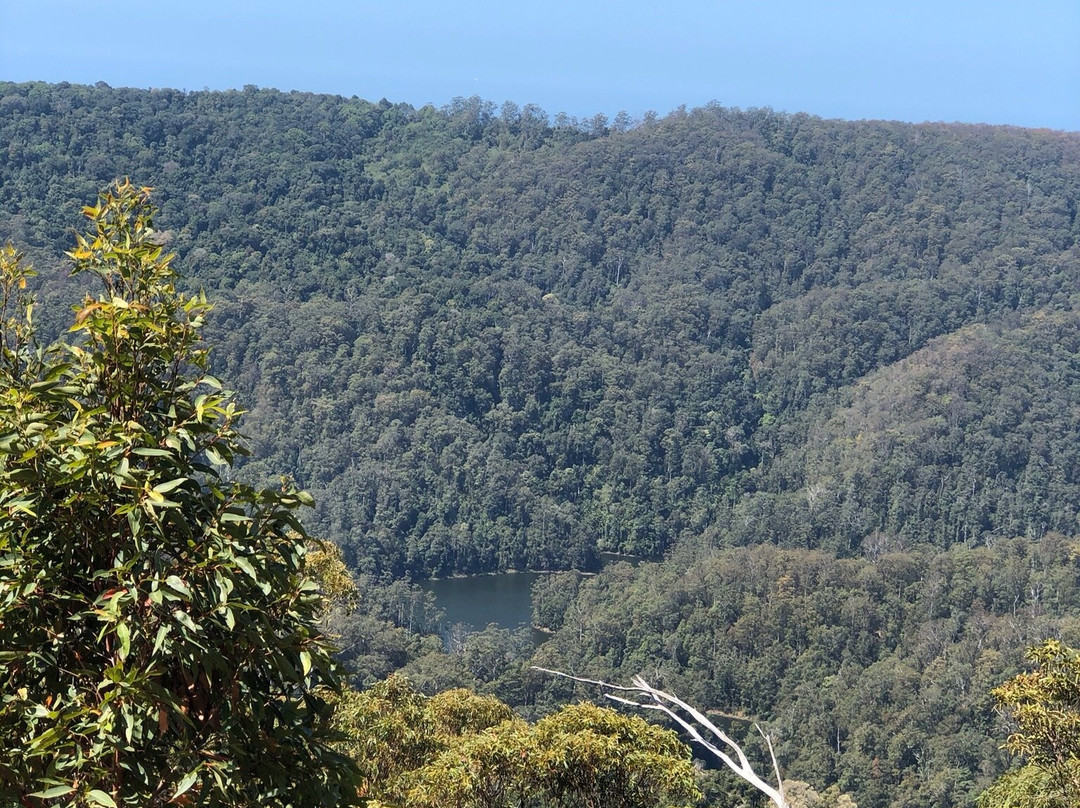 Wunburra Lookout景点图片